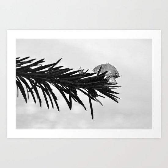 Ice Art Print