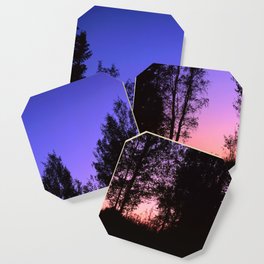 Nightfall. Purple and pink sky in the forest after sunset. Coaster