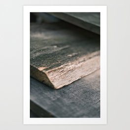 Detail of a gray aged wood | Color | Macro Photography | Fine Art Photo Print Art Print