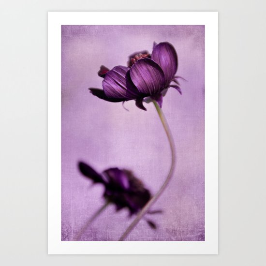 purple blossoms Art Print