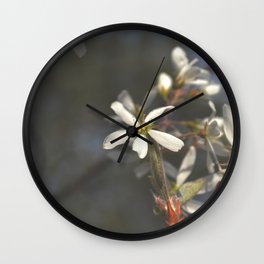 Juneberry Blossoms Wall Clock | Springtrees, Plants, Juneberry, Juneberrytree, Spring, Nature, Photo, Flowers, Blossoms 