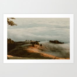 Fog on Mount Tamalpais III Art Print