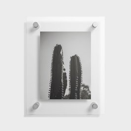 Cactus Photography - Black and White #3 Floating Acrylic Print