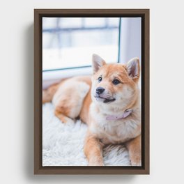 Short haired Puppy Framed Canvas