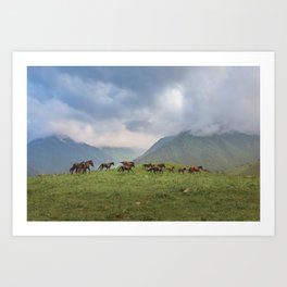 Running horses in the mountains Art Print