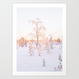 Pastel Color Landscape in Finland | Winter Sunset in the Arctic Woods Art Print | Lapland Travel Photography Art Print