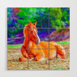 Beautiful Young Brown Horse - Wild Life Wood Wall Art