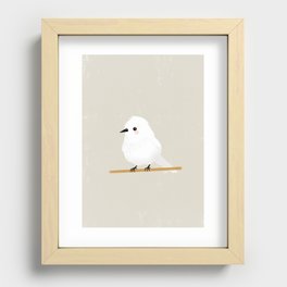 Little White Bird Recessed Framed Print