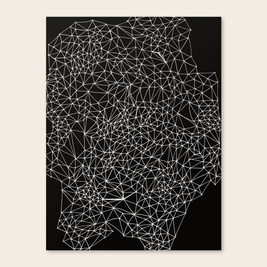 Geo Webbed Canvas Print