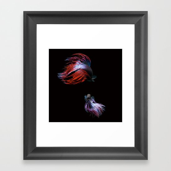 Betta No.2 Framed Art Print