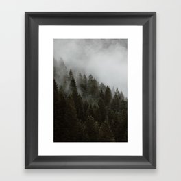Evergreen Mountain Pines in the Fog Framed Art Print