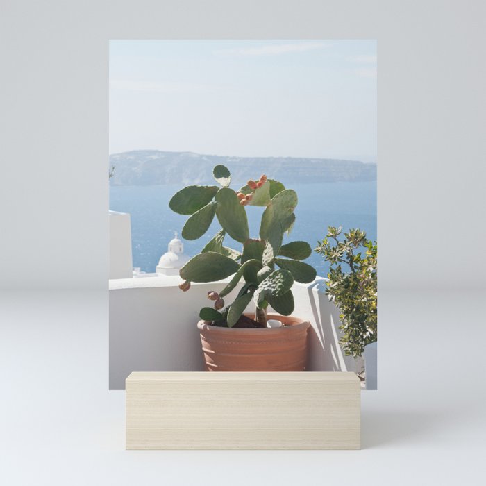 Santorini Cactus Dream #3 #minimal #wall #decor #art #society6 Mini Art Print