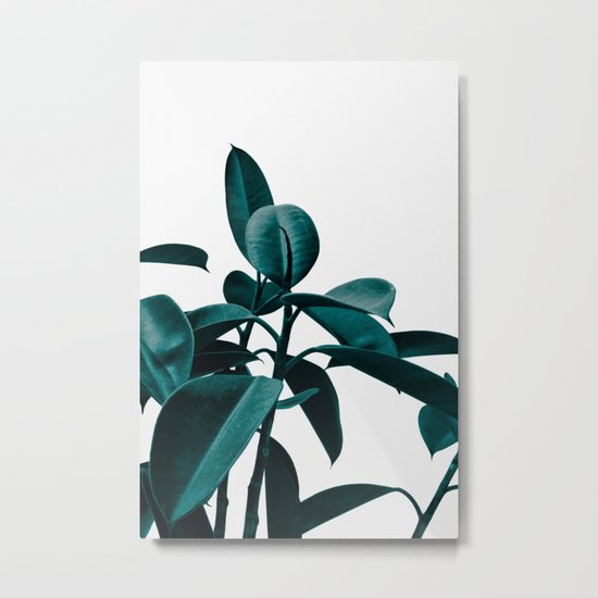 PLANT 2a Metal Print