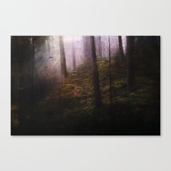 Travelling darkness Canvas Print