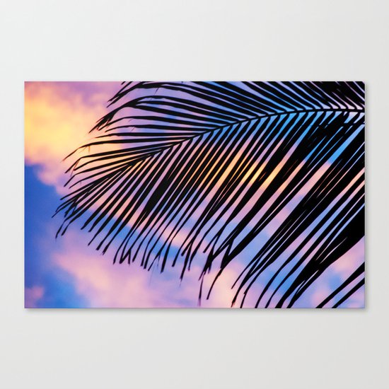 SUNSET PALM Canvas Print