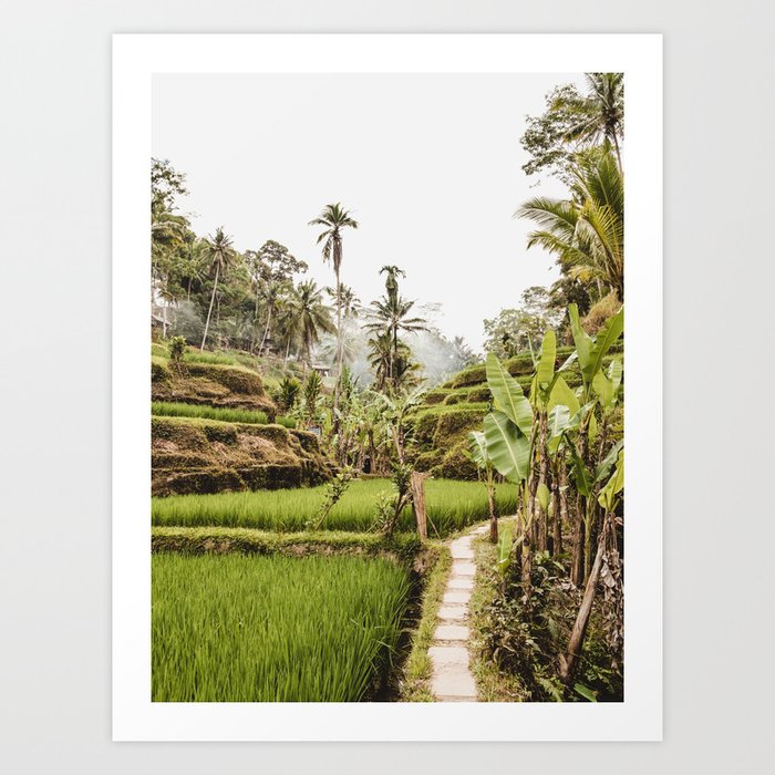  Tegalalang Rice Terrace  Ubud Bali 1  / Travel photography art print -  Palm Tree rice field Art Print