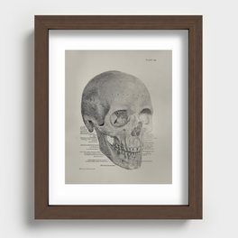 Anatomical Vintage Skull Recessed Framed Print