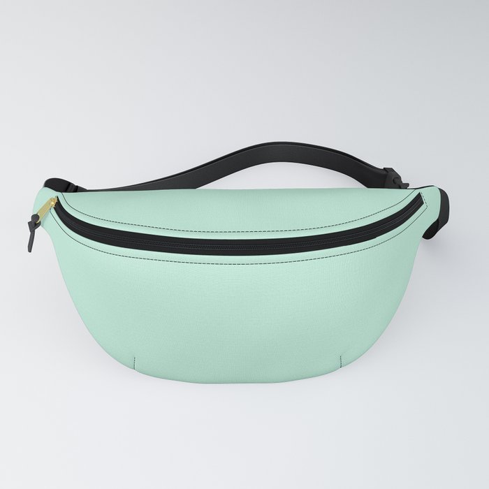 Mint green 2025 fanny pack