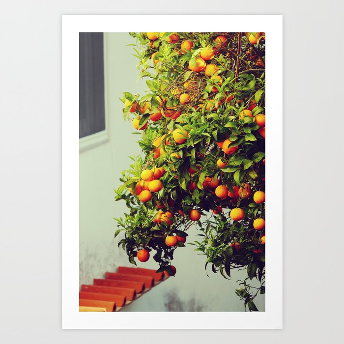 Orange Tree in Capri, Italy - Mediterranean Garden Photography Art Print