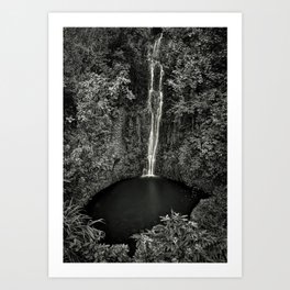 A place only you and I know - The Secret Garden waterfall black and white photography - photographs Art Print