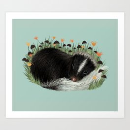 Sleeping Baby Skunk Art Print