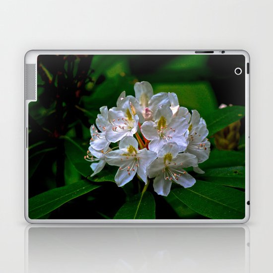 Rhododendron Bloom at Falling Water Laptop & iPad Skin