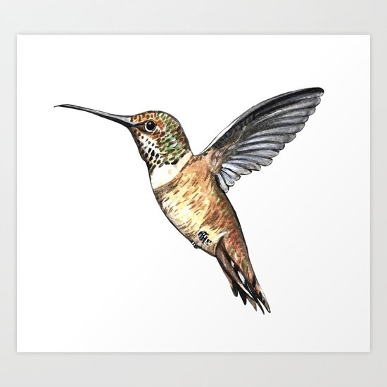 flying hummingbird watercolor sketch Art Print