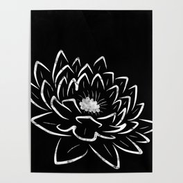 waterlilly Poster