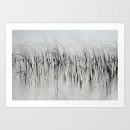 Evening Music - Calm and Peaceful Grasses Art Print