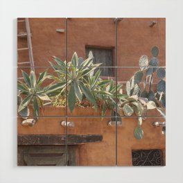 Mexican cactus on a summer rooftop art print - nature and travel photography Wood Wall Art