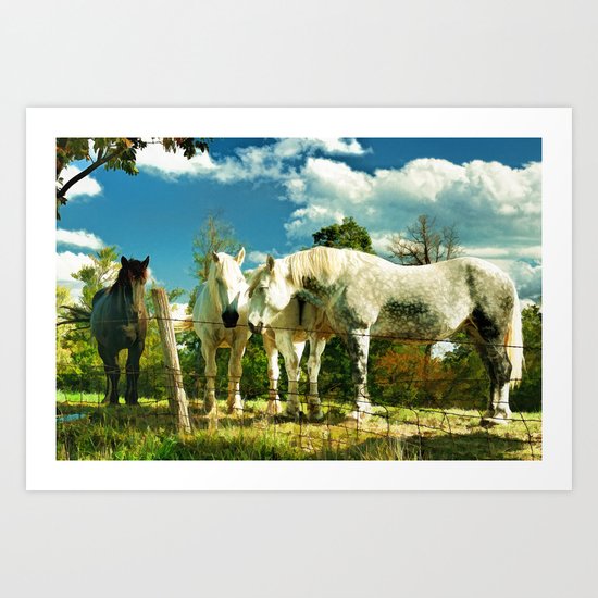 Amish work horses Art Print