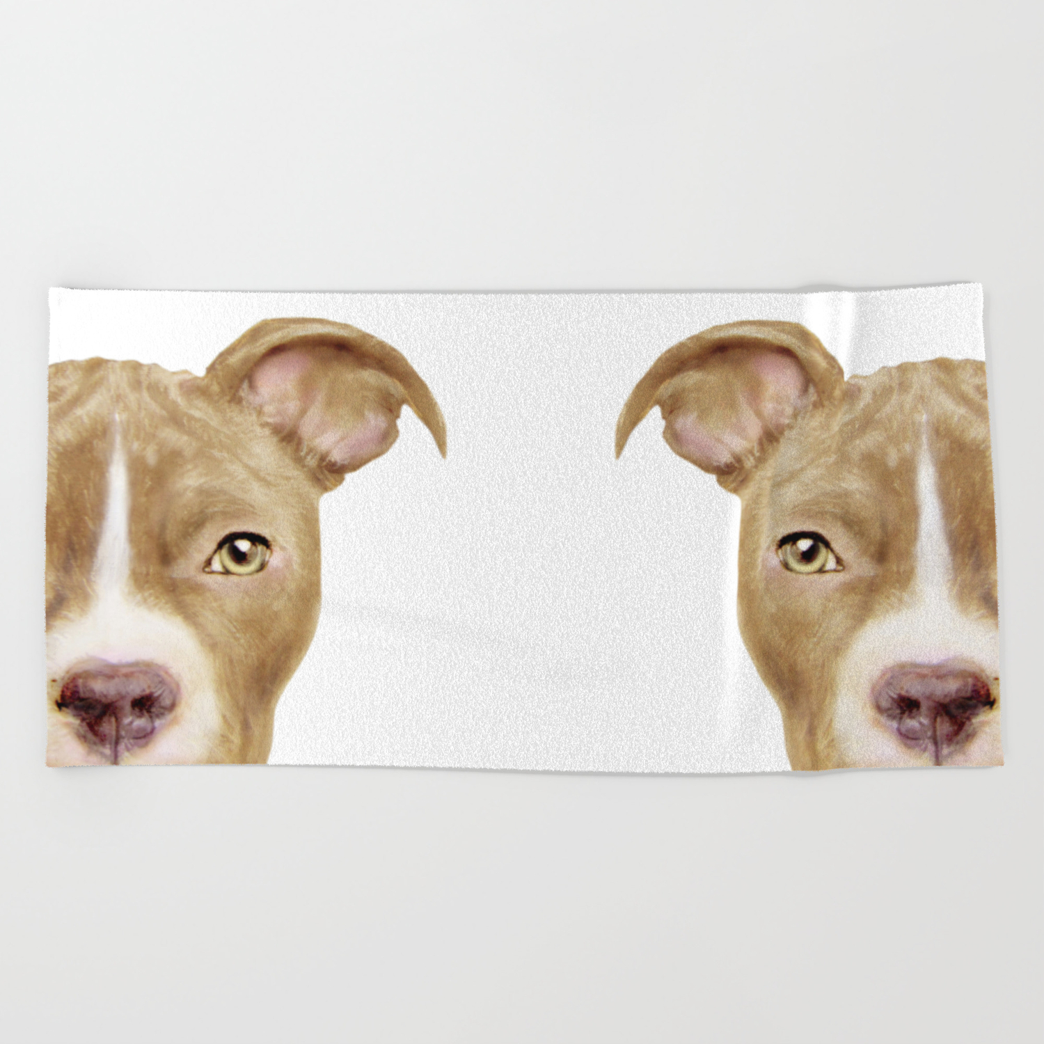 society6