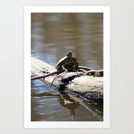 A Relaxing and Balancing Turtle Art Print