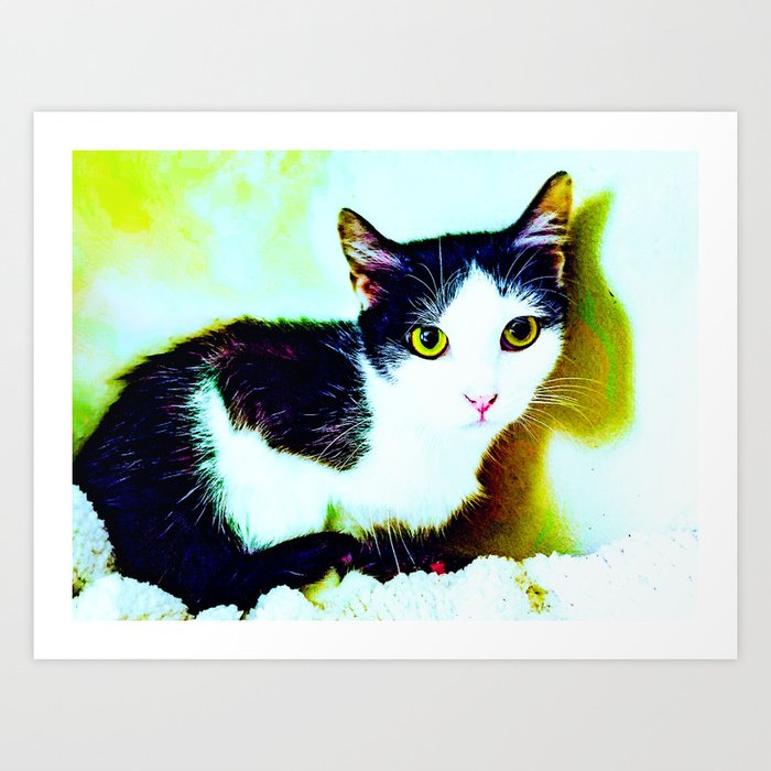 Black and white Piebald Cat, Chicken Art Print