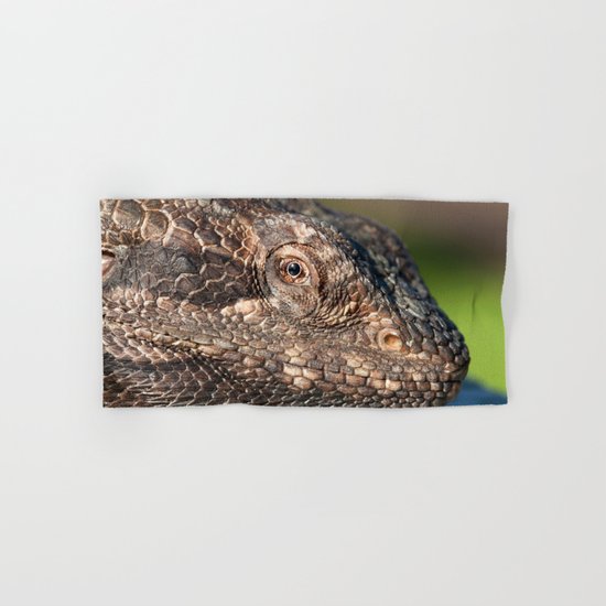 Bearded Dragon watching you Hand & Bath Towel