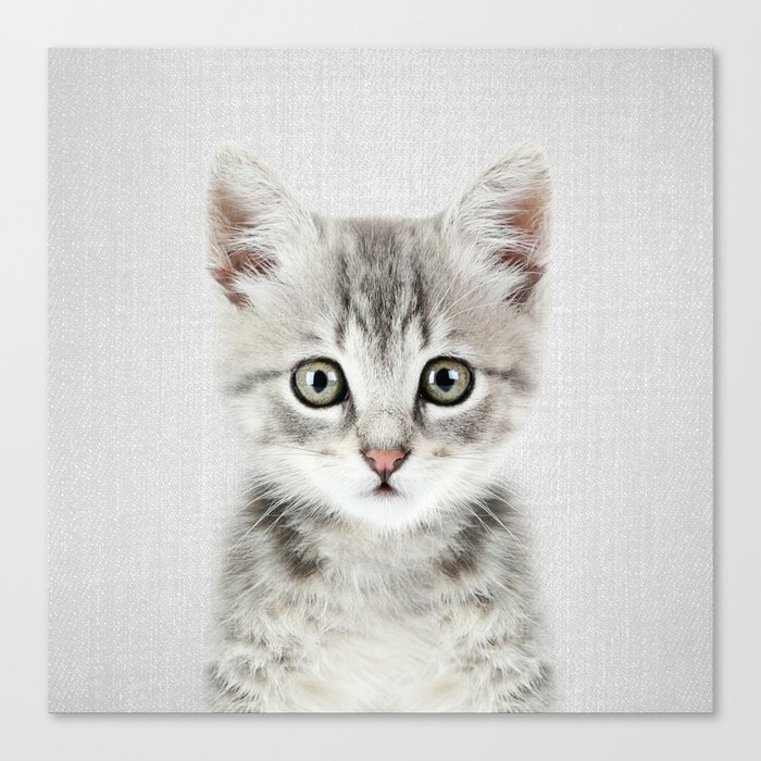 Kitten - Colorful Canvas Print