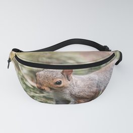 Close up Squirrel Fanny Pack