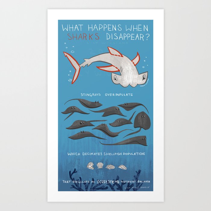 What Happened When Sharks Disappear (Hammerhead) Art Print