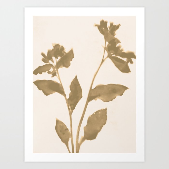 Beige and Taupe Flowers 2 Art Print