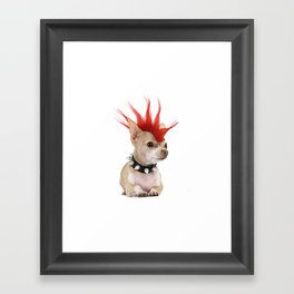 Punk Chihuahua Framed Art Print