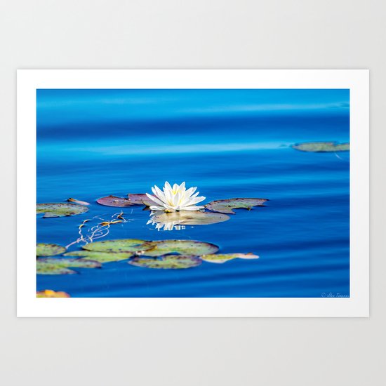 Cool Blues Art Print