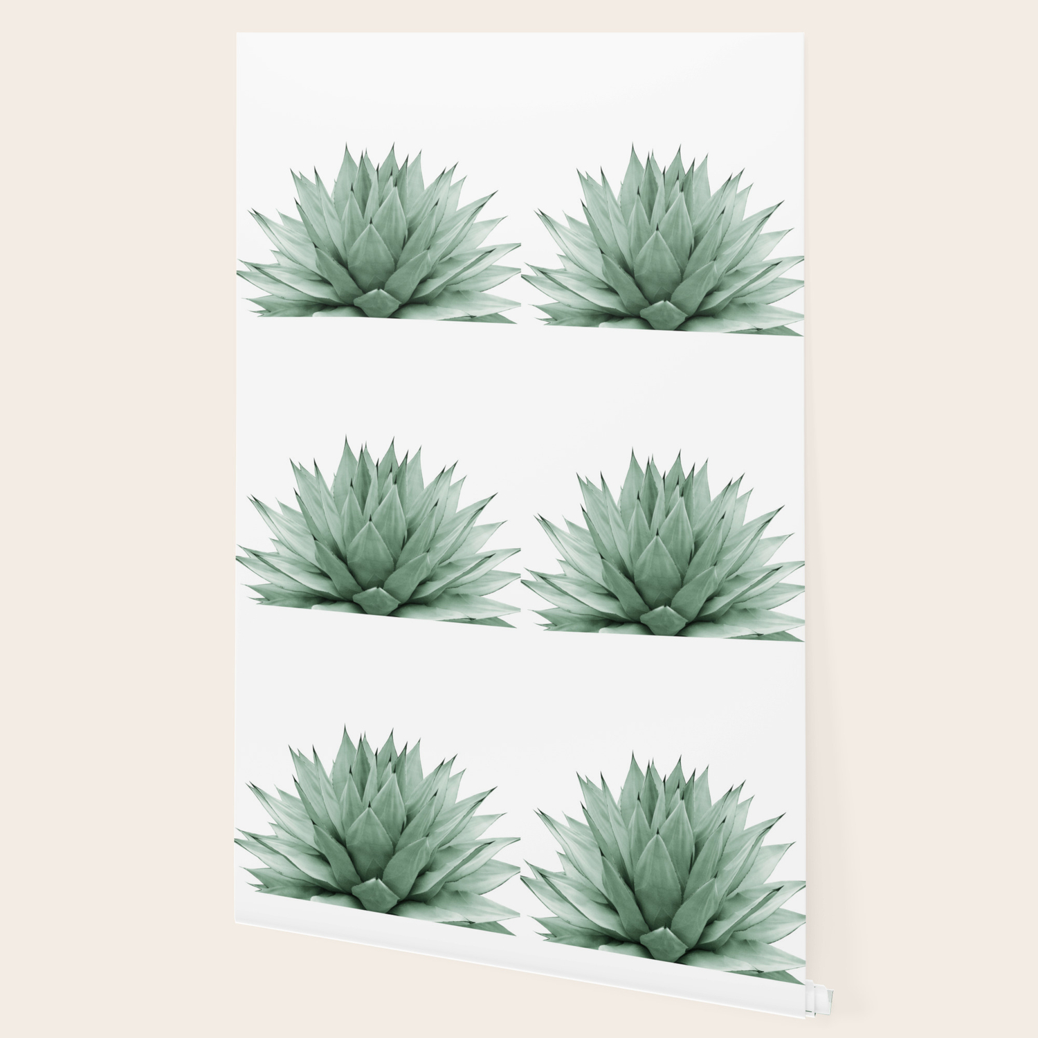 society6