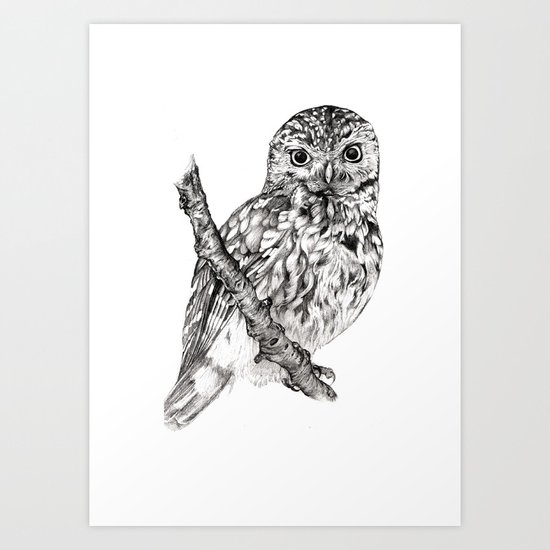 Little Owl Art Print