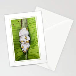 African White Bats Stationery Cards