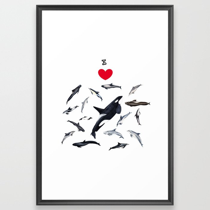 I love dolphins Framed Art Print