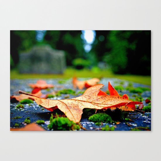 Late Autumn leaf Canvas Print