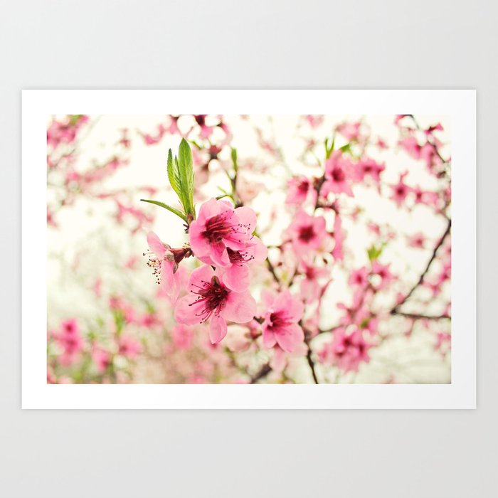 Spring is in the air! Art Print