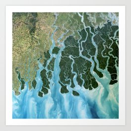 Ganges Delta, India  Art Print