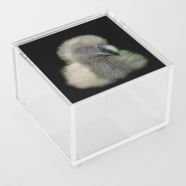 Fierce Spiked Vulture Acrylic Box