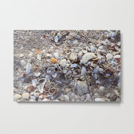 Shells Metal Print | Beach, Venice, Florida, Ocean, Shell, Nature, Water, Film, Englewood, Sand 